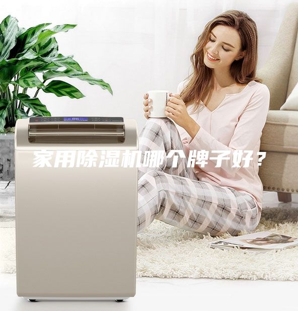 家用除濕機(jī)哪個牌子好？