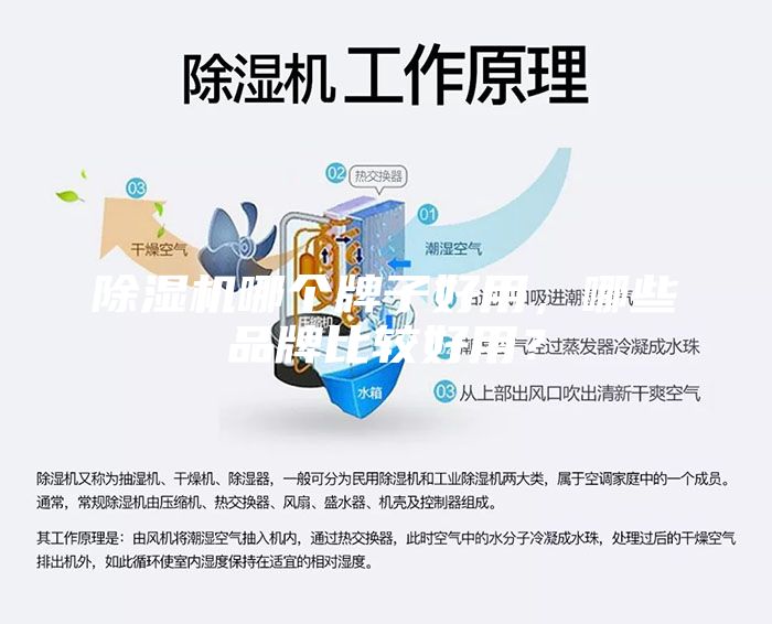 除濕機哪個牌子好用，哪些品牌比較好用？