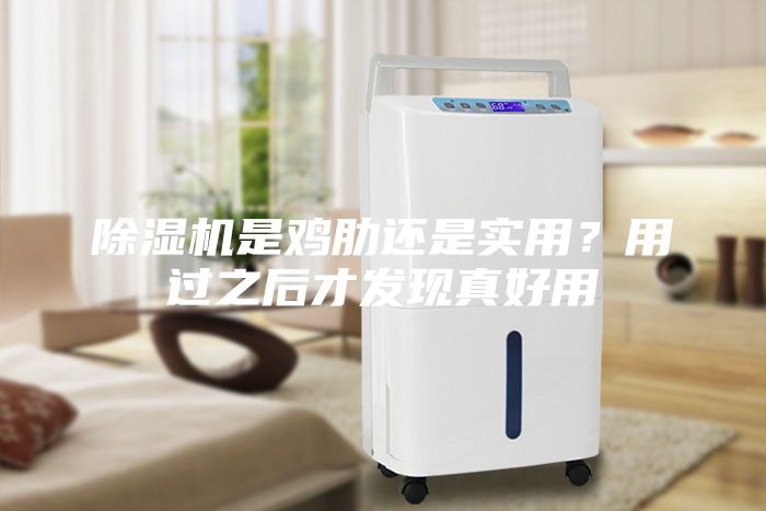 除濕機是雞肋還是實用？用過之后才發現真好用