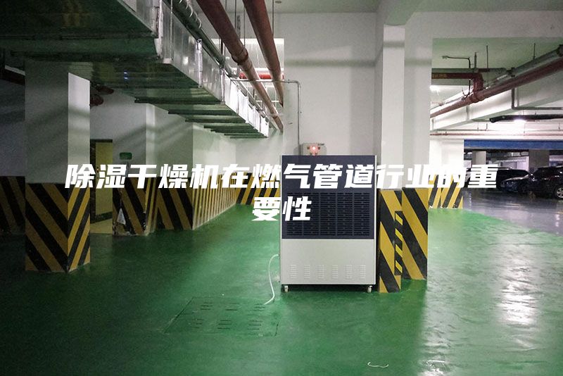 除濕干燥機在燃氣管道行業的重要性