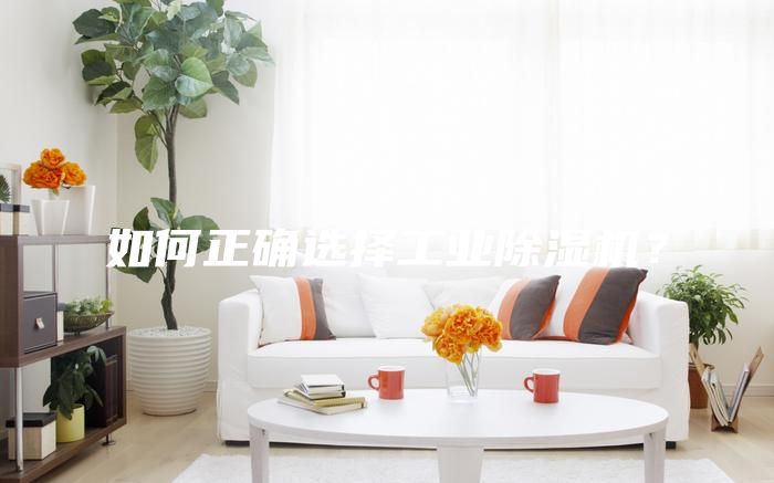 如何正確選擇工業除濕機？
