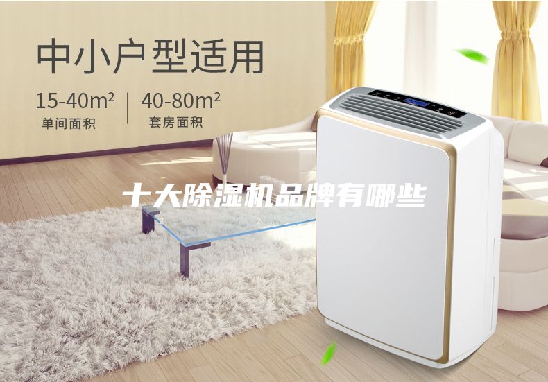 十大除濕機(jī)品牌有哪些