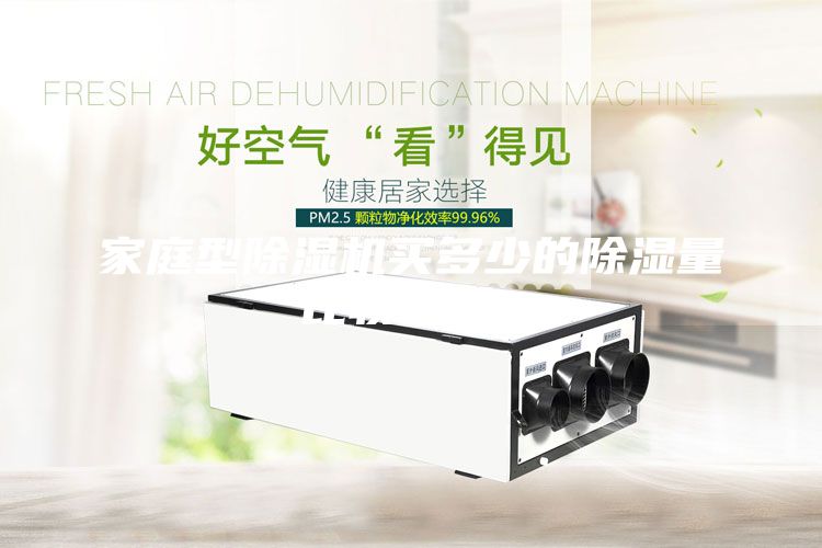 家庭型除濕機(jī)買多少的除濕量比較合適？