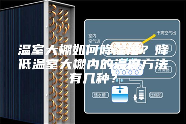 溫室大棚如何降濕度？降低溫室大棚內(nèi)的濕度方法有幾種？