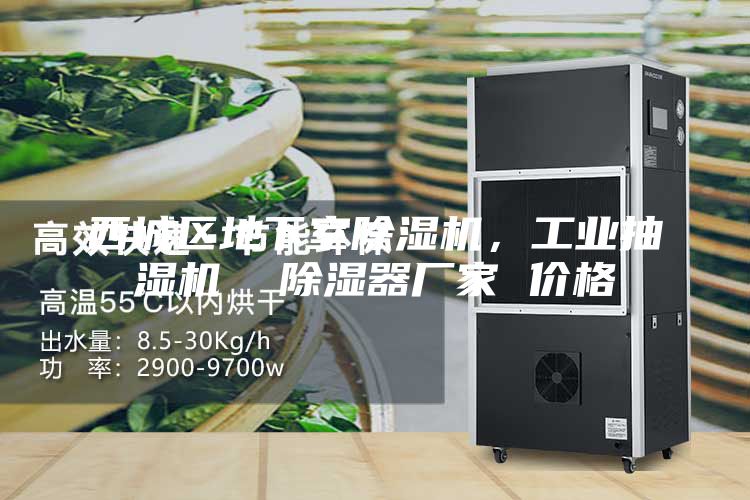 西城區(qū)地下室除濕機(jī)，工業(yè)抽濕機(jī)  除濕器廠家 價(jià)格