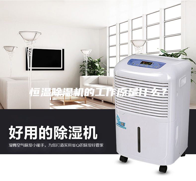 恒溫除濕機的工作原是什么？