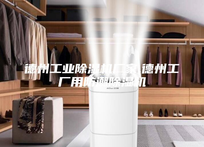 德州工業(yè)除濕機(jī)廠(chǎng)家,德州工廠(chǎng)用防潮除濕機(jī)