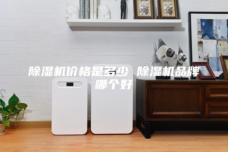 除濕機(jī)價(jià)格是多少 除濕機(jī)品牌哪個(gè)好