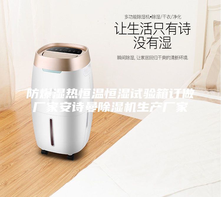 防爆濕熱恒溫恒濕試驗(yàn)箱訂做廠家安詩曼除濕機(jī)生產(chǎn)廠家