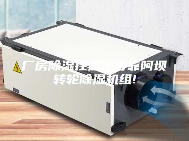 廠房除濕控溫還得靠阿壩轉輪除濕機組!