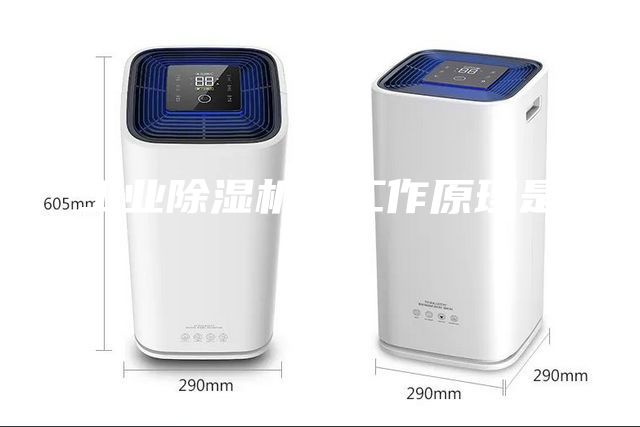 工業除濕機的工作原理是什么