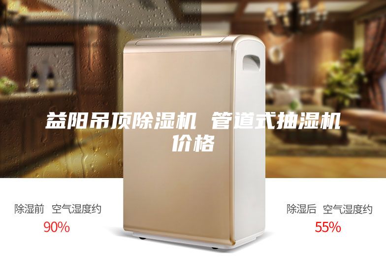 益陽吊頂除濕機 管道式抽濕機價格