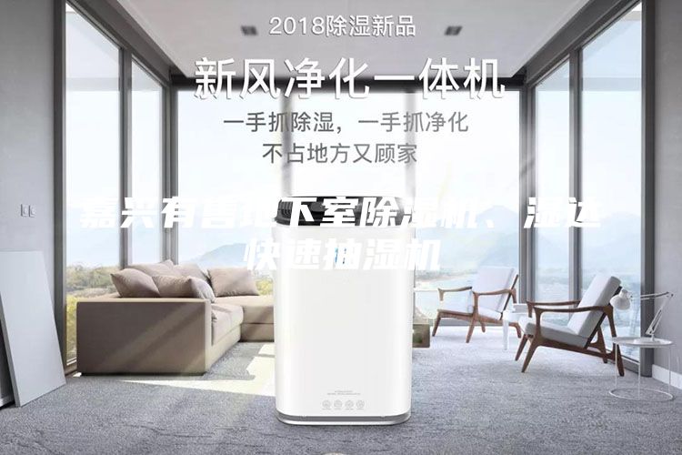 嘉興有售地下室除濕機、濕達快速抽濕機