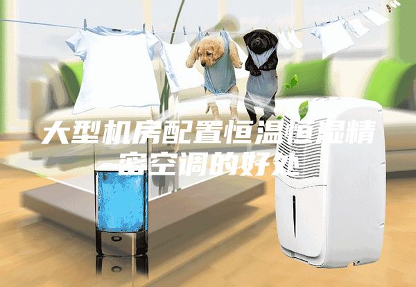 大型機房配置恒溫恒濕精密空調(diào)的好處