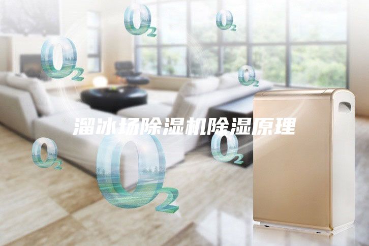 溜冰場除濕機除濕原理