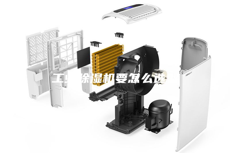 工業(yè)除濕機(jī)要怎么選型