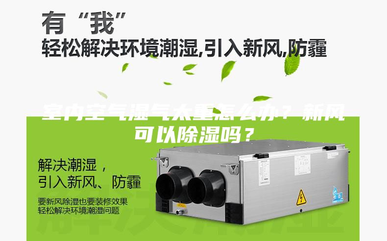 室內(nèi)空氣濕氣太重怎么辦？新風可以除濕嗎？