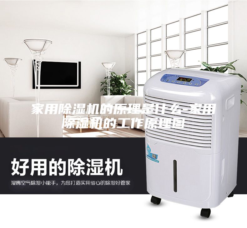 家用除濕機(jī)的原理是什么-家用除濕機(jī)的工作原理圖