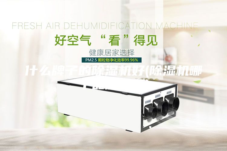 什么牌子的除濕機好(除濕機哪個品牌最好)