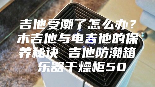 吉他受潮了怎么辦？木吉他與電吉他的保養秘訣 吉他防潮箱 樂器干燥柜50