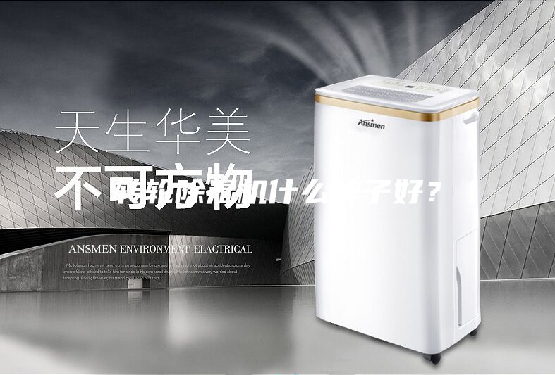 轉輪除濕機什么牌子好？