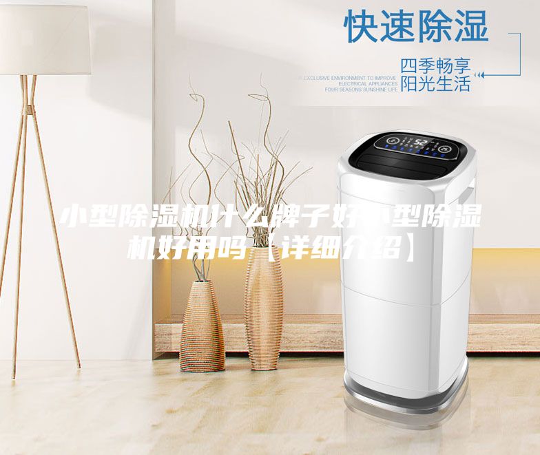 小型除濕機(jī)什么牌子好小型除濕機(jī)好用嗎【詳細(xì)介紹】