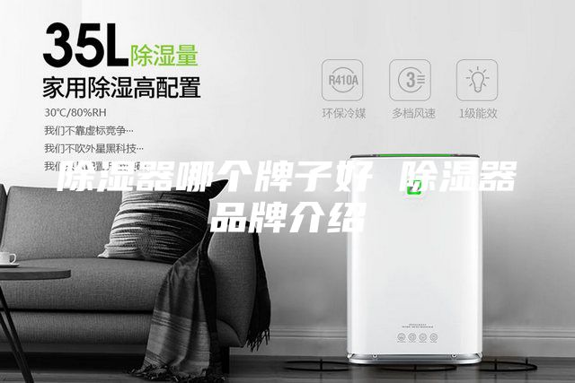 除濕器哪個牌子好 除濕器品牌介紹