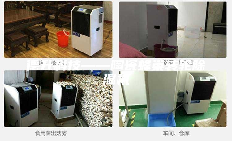 德升科技——陶瓷蜂巢轉(zhuǎn)輪除濕機