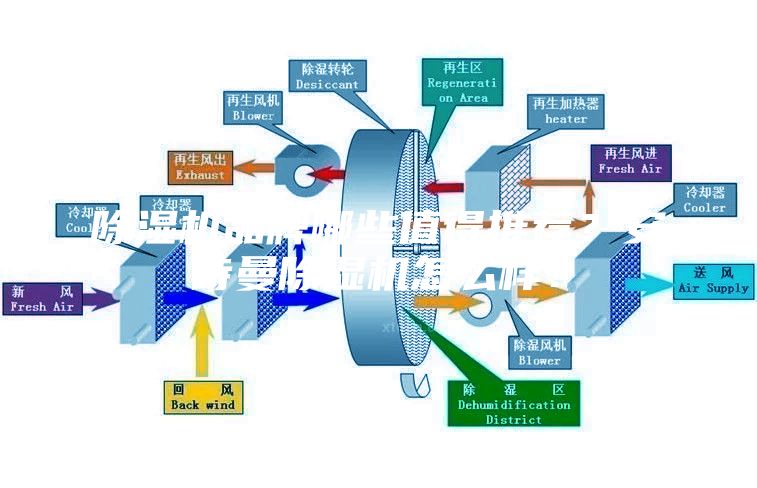 除濕機品牌哪些值得推薦？安詩曼除濕機怎么樣？