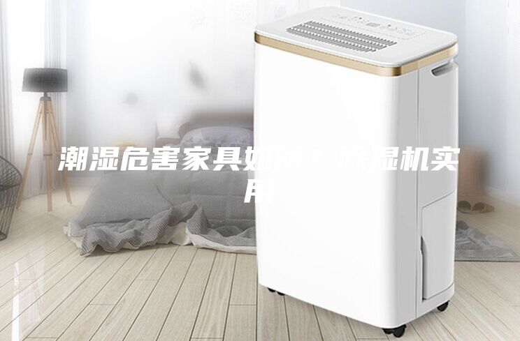 潮濕危害家具如何？除濕機實用