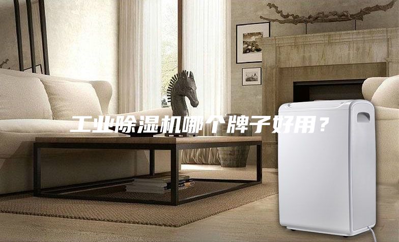 工業除濕機哪個牌子好用？