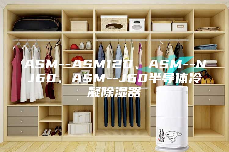 ASM--ASM120、ASM--NJ60、ASM--J60半導體冷凝除濕器