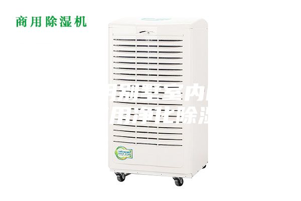 武漢家用別墅室內除濕機，商用凈化除濕機