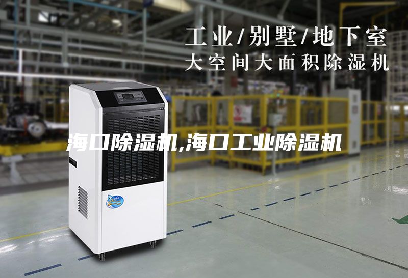 海口除濕機(jī),海口工業(yè)除濕機(jī)
