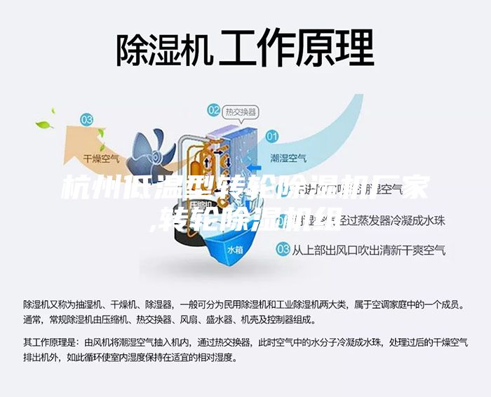 杭州低溫型轉輪除濕機廠家,轉輪除濕機組