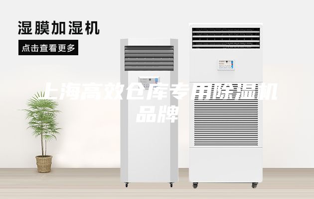 上海高效倉庫專用除濕機品牌