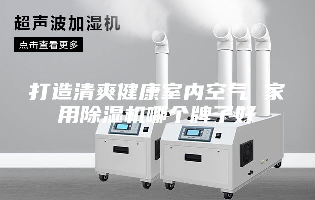 打造清爽健康室內(nèi)空氣 家用除濕機(jī)哪個(gè)牌子好