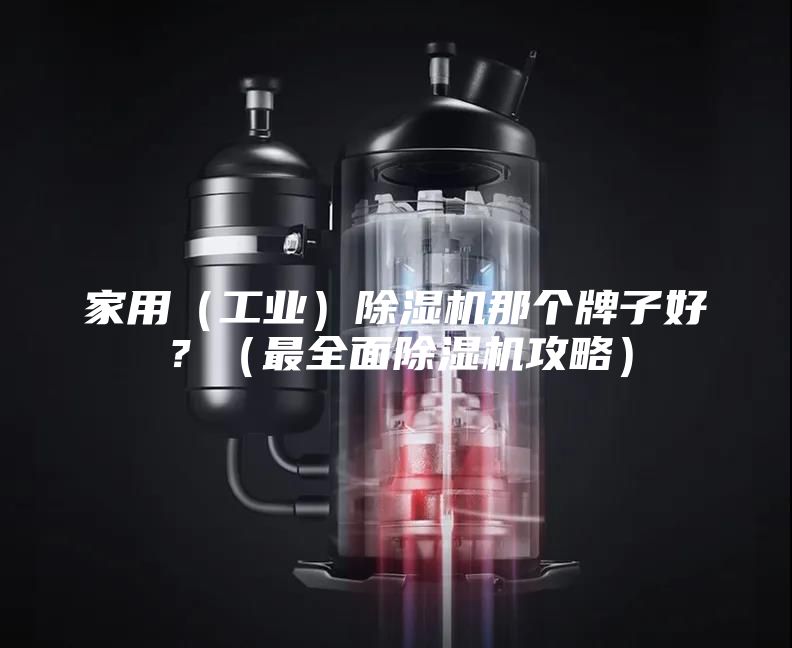 家用（工業(yè)）除濕機(jī)那個牌子好？（最全面除濕機(jī)攻略）