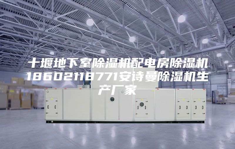 十堰地下室除濕機配電房除濕機18602118771安詩曼除濕機生產廠家