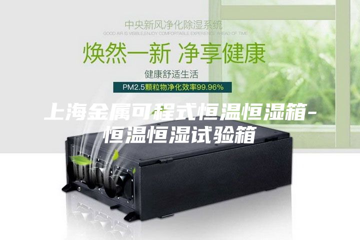 上海金屬可程式恒溫恒濕箱-恒溫恒濕試驗箱