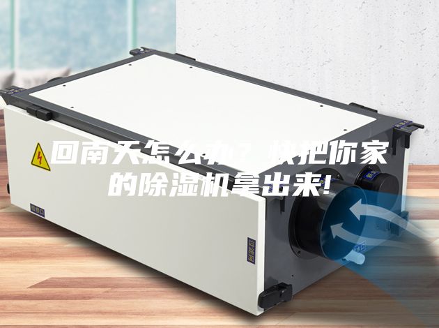 回南天怎么辦？快把你家的除濕機拿出來!