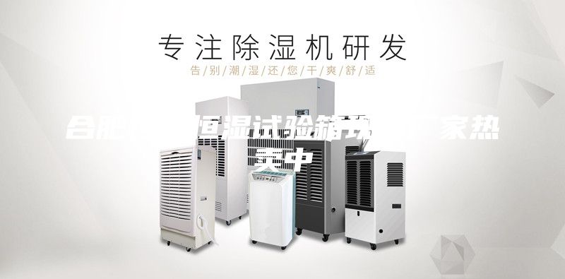 合肥恒溫恒濕試驗(yàn)箱現(xiàn)貨廠家熱賣(mài)中