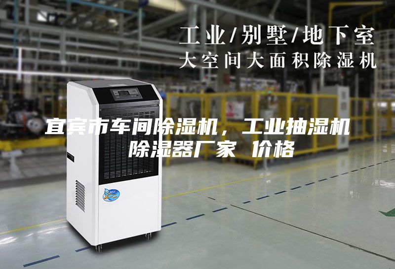 宜賓市車間除濕機(jī)，工業(yè)抽濕機(jī)  除濕器廠家 價(jià)格