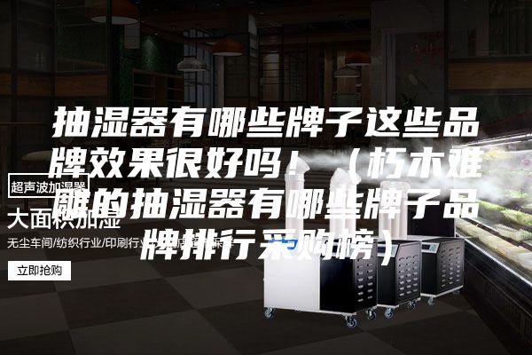 抽濕器有哪些牌子這些品牌效果很好嗎?。ㄐ嗄倦y雕的抽濕器有哪些牌子品牌排行采購榜）
