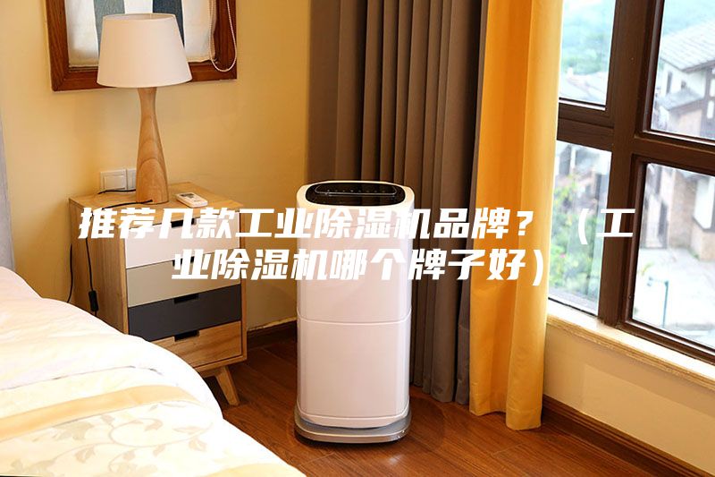 推薦幾款工業除濕機品牌？（工業除濕機哪個牌子好）