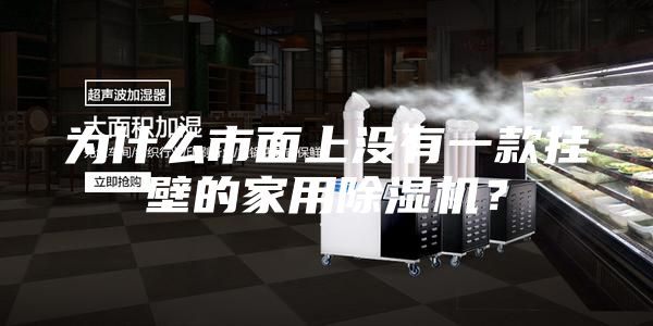 為什么市面上沒(méi)有一款掛壁的家用除濕機(jī)？
