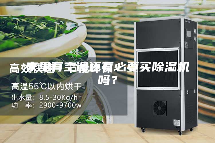 家里有空調(diào)還有必要買除濕機(jī)嗎？