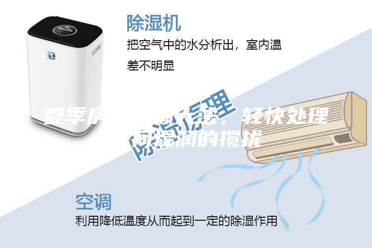 夏季房屋防潮大法，輕快處理房間濕潤的攪擾