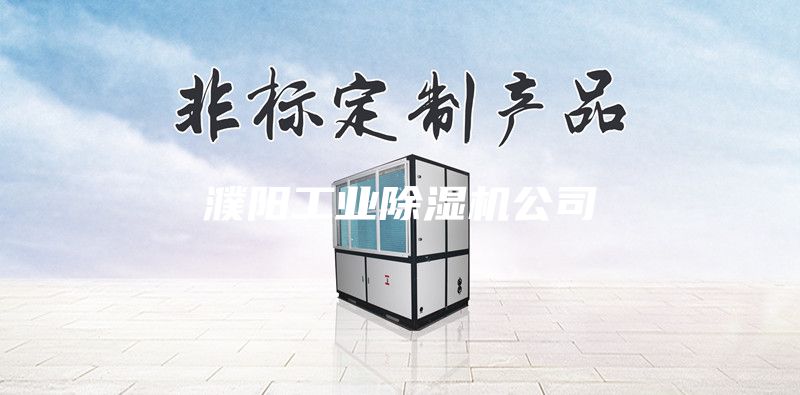 濮陽工業(yè)除濕機(jī)公司