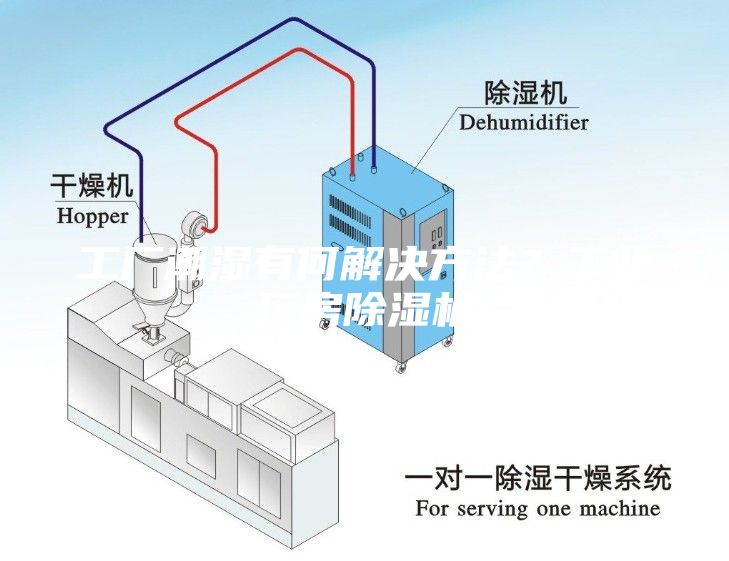 工廠潮濕有何解決方法？工業(yè)廠房除濕機(jī)